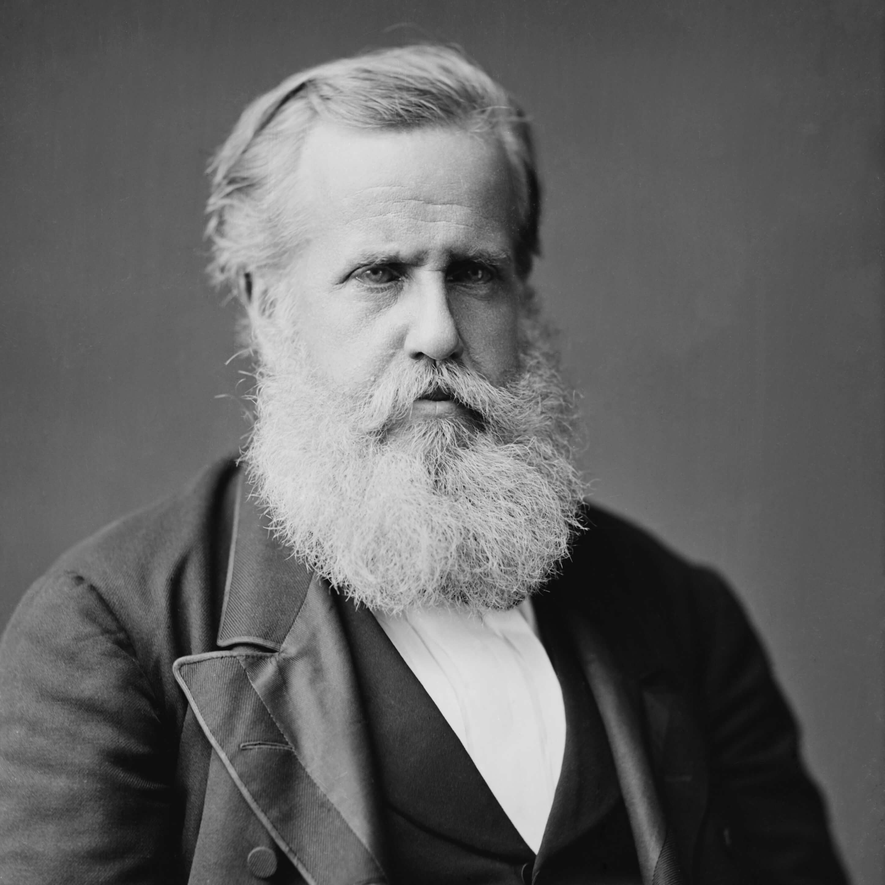 Dom Pedro II <br>